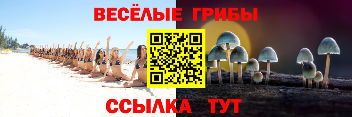 Чусовой  Галлюциногенные грибы мухоморы  Вход с VPN 
